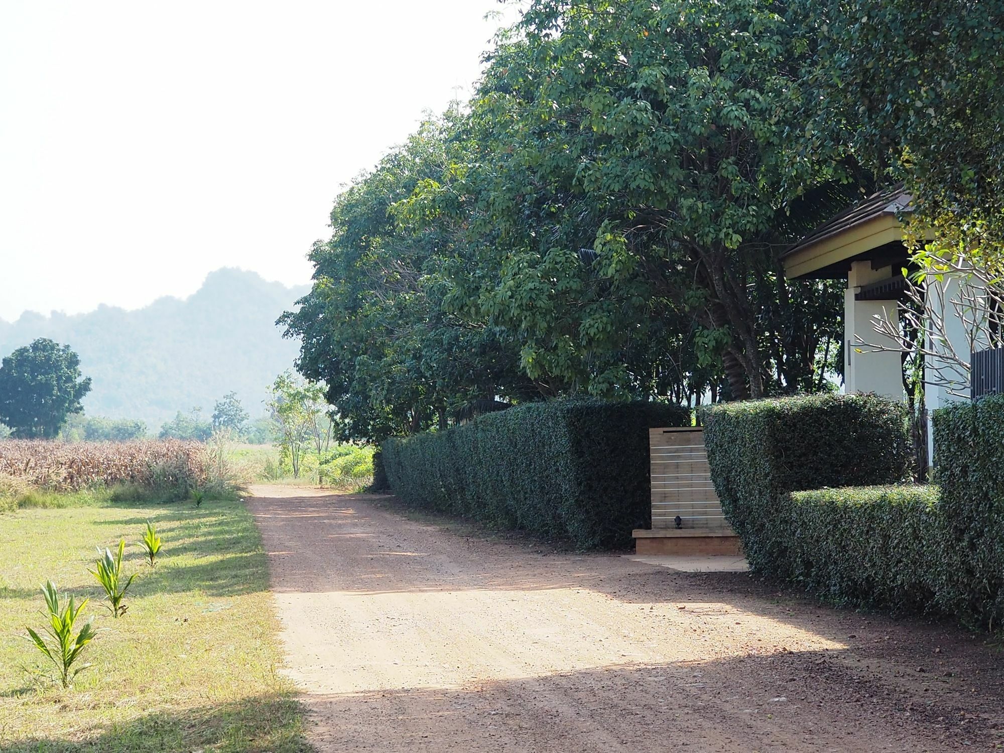 Singha Rubber Tree Hotel Sai Yok Exterior photo