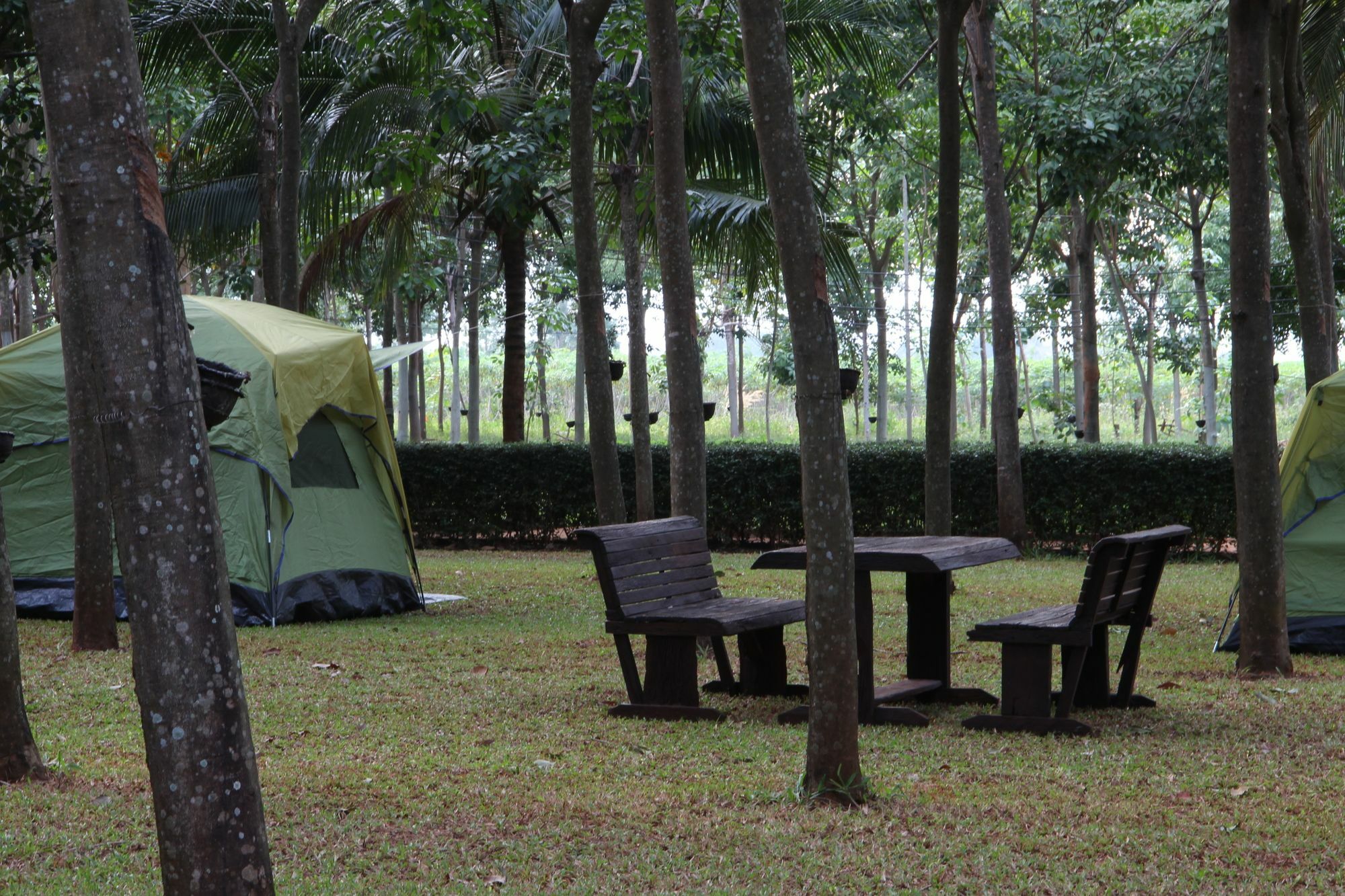 Singha Rubber Tree Hotel Sai Yok Exterior photo