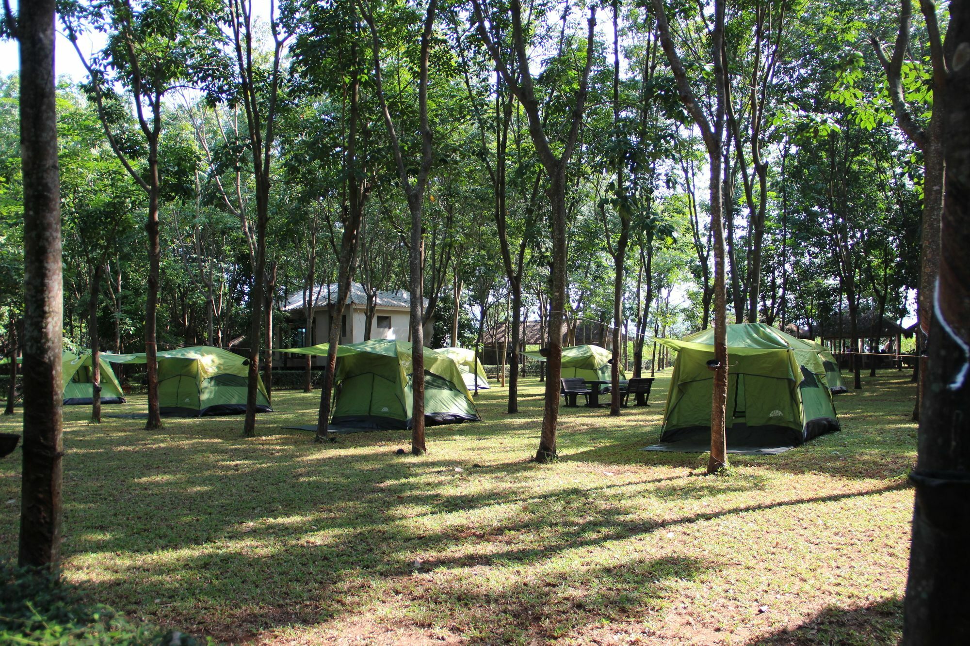 Singha Rubber Tree Hotel Sai Yok Exterior photo